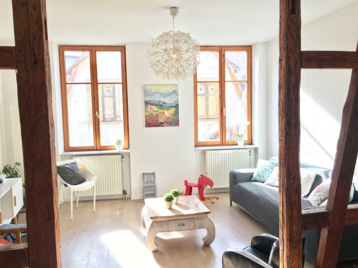 Gite Atelier De Hansi - Colmar Centre מראה חיצוני תמונה