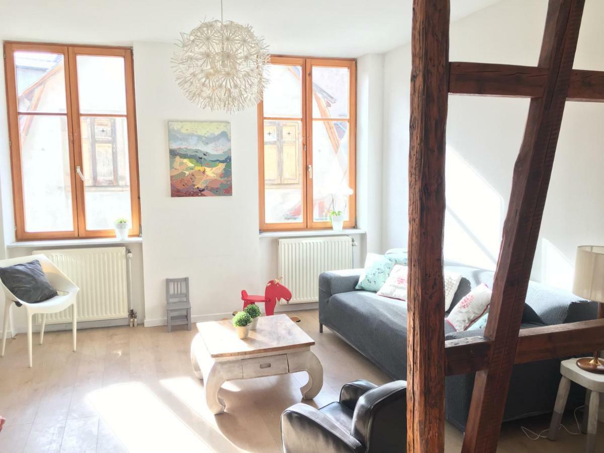 Gite Atelier De Hansi - Colmar Centre מראה חיצוני תמונה